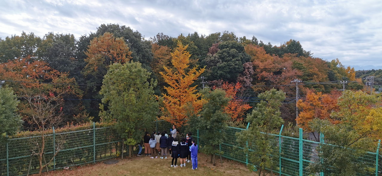 【11月5日(土)開催】「中学生活体験日」へのご参加ありがとうございました