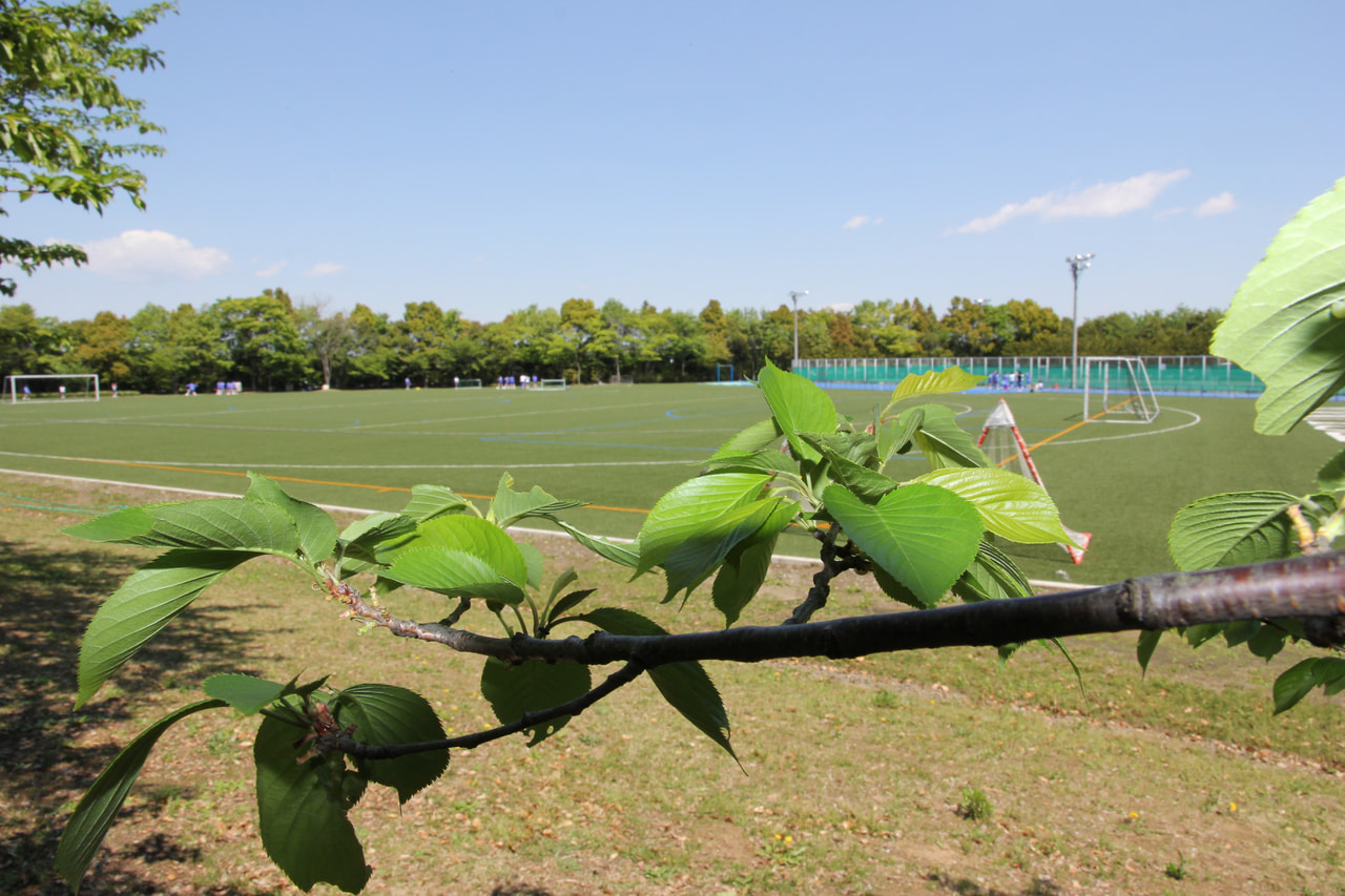 5月29日(水) 5組限定 校舎見学会