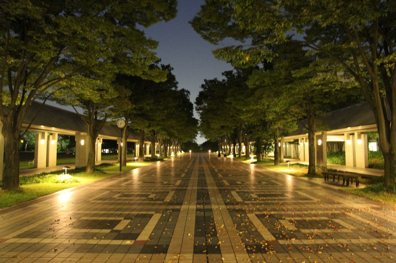 夜の説明会「多摩laナイト」のお知らせ