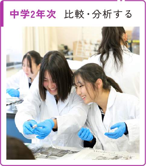 中学2年次 比較・分析する