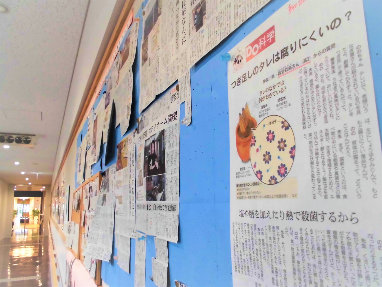 【高３】朝日新聞「DO科学」記事に、本校生徒の質問が採用されました