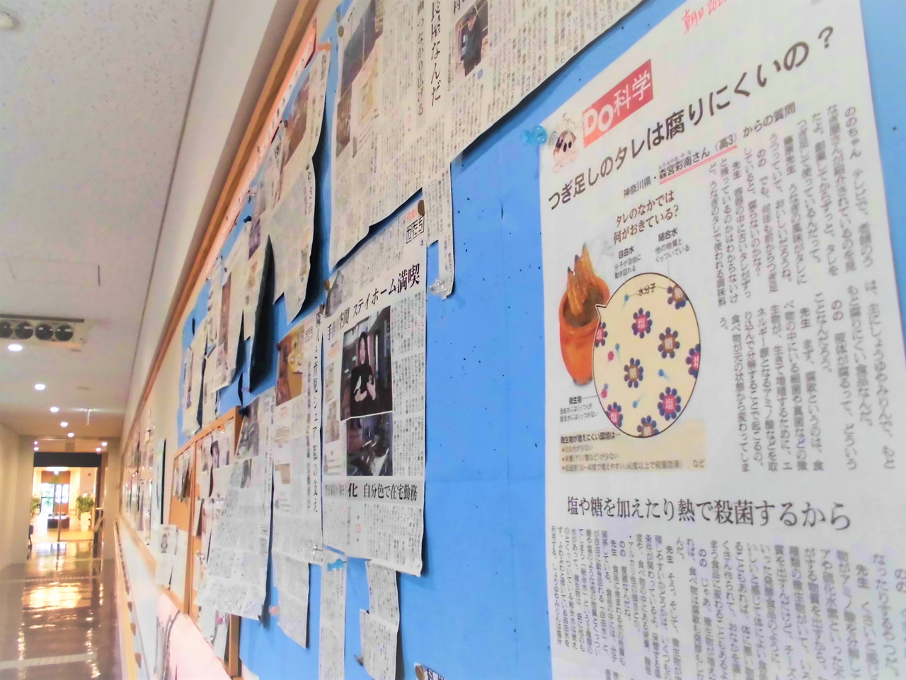 【高3】朝日新聞「DO科学」記事に、本校生徒の質問が採用されました