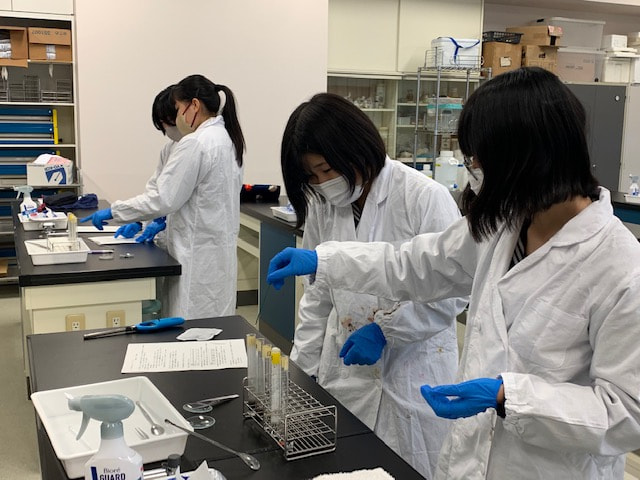 【高2】生物基礎演習・面白かった実験ベスト3