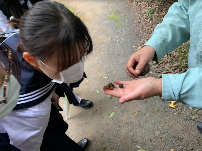 【中1】多摩巡検