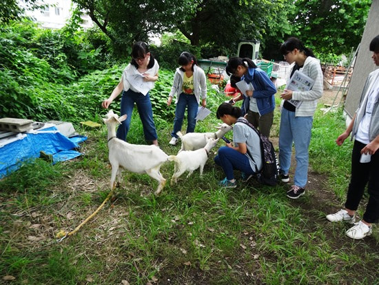 【中３】理系向けガイダンス＠東京農工大学