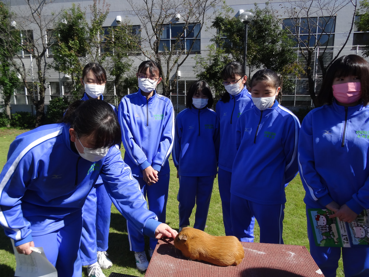 【中３】学問分野を知るガイダンス